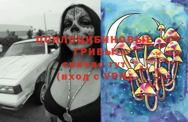a pvp Армянск
