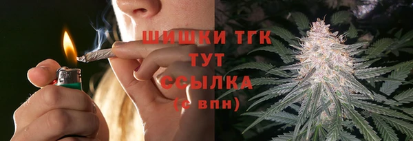 дмт Арсеньев