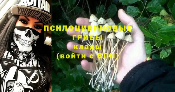 дмт Арсеньев