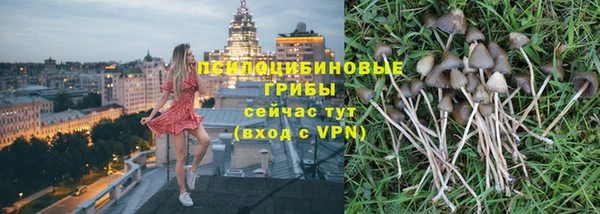 дмт Арсеньев