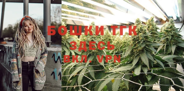 дмт Арсеньев
