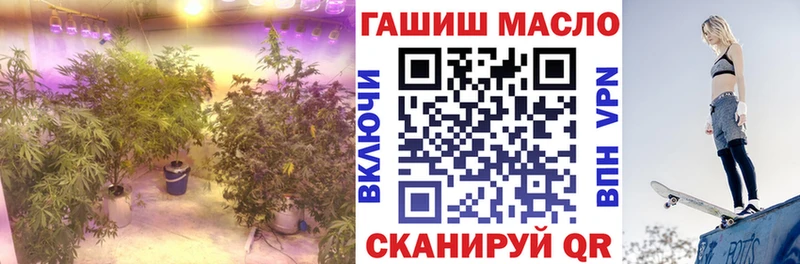 Дистиллят ТГК вейп с тгк  hydra зеркало  Аша  купить наркотик 